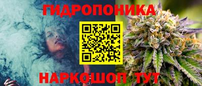 крисы Волжский