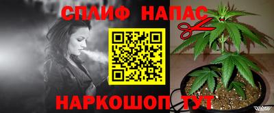 крисы Волжский